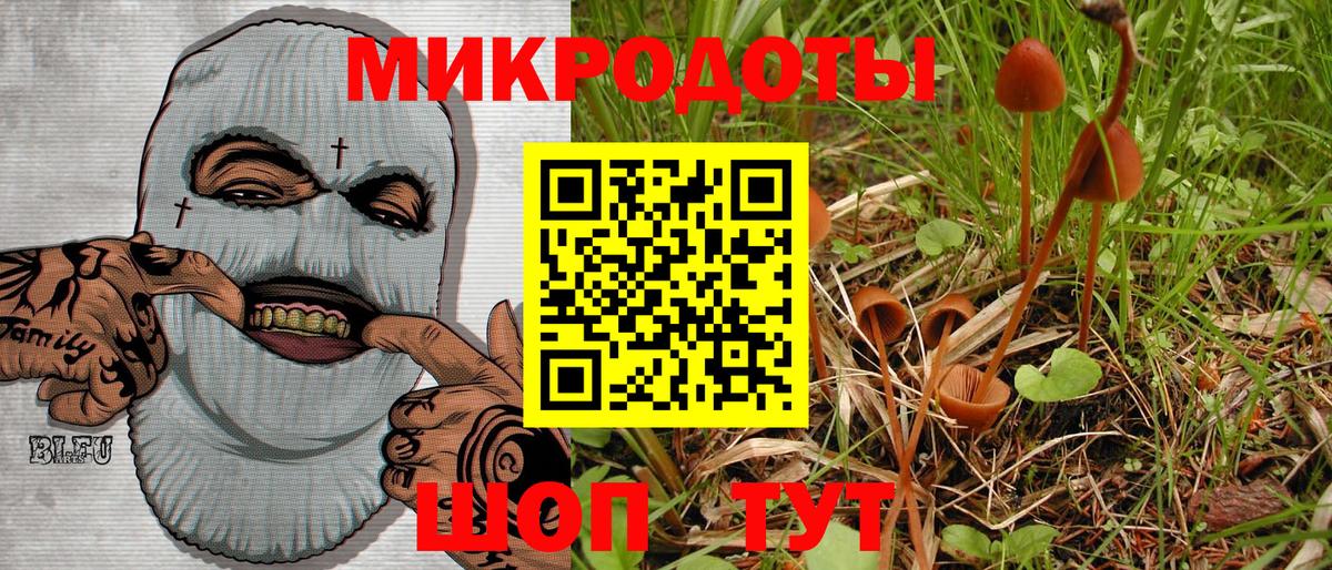 Псилоцибиновые грибы Psilocybe Черемхово