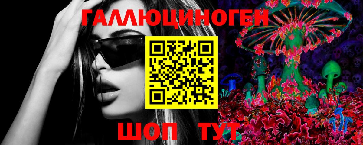 Псилоцибиновые грибы GOLDEN TEACHER  Вход с VPN  где найти наркотики  Псилоцибиновые грибы прущие грибы  Черемхово 